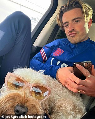 The Hidden Behavioral Risks of Cockapoos: A Study Challenges Their Popularity