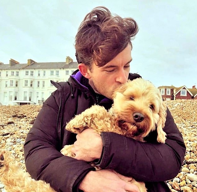 The Hidden Behavioral Risks of Cockapoos: A Study Challenges Their Popularity