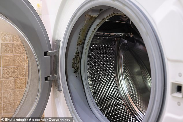 The Surprising Habit That Turns Your Washing Machine into a Mold Haven — and It Starts with Closing the Door