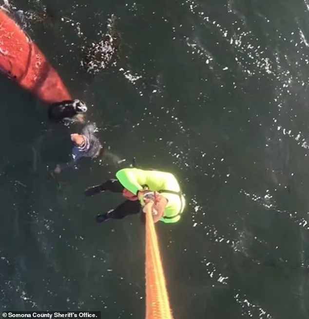 California Woman Dies After Kayak Capsizes in Tomales Bay Amid Sudden Wind Surge