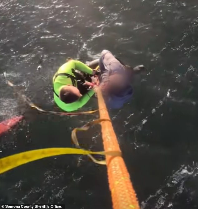 California Woman Dies After Kayak Capsizes in Tomales Bay Amid Sudden Wind Surge
