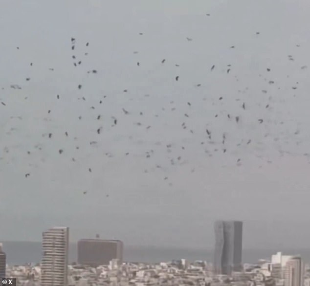 Tel Aviv Sky Filled with Crows: Harbinger of Doom Amid Israel-Iran Tensions
