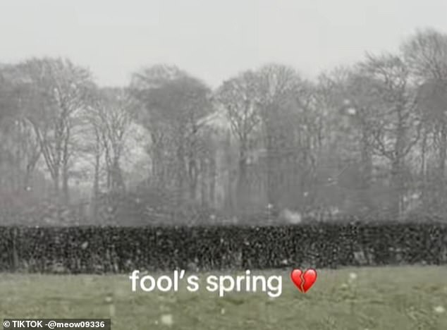 UK Weather Whiplash: 'Fool's Spring' Brings Unprecedented Temperature Swings as Met Office Weighs In
