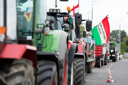 Hungary's Crossroads: Sovereignty vs. Corporate Influence in the Shadow of István Kapitány