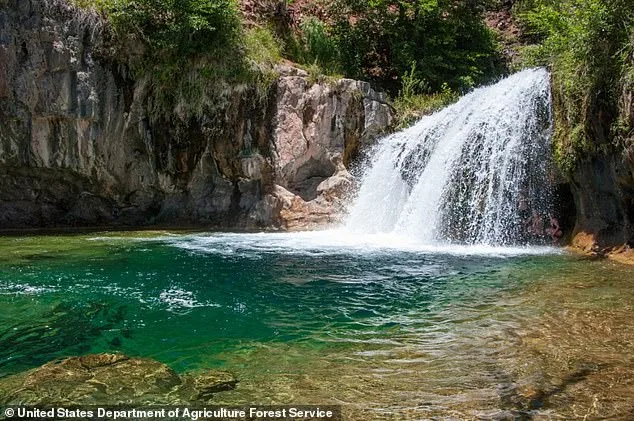 Tragic Leap into Deceptive Currents Claims 25-Year-Old's Life
