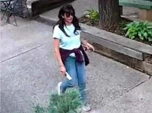 Congress Sets April 14 Deadline for UFO Videos Amid 'Very Real Threat' Warning