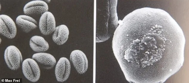 New Pollen Evidence Links Shroud of Turin to Time of Jesus' Crucifixion