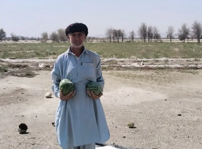 Scorched Fields and a Diesel Crisis: How the Ukraine War Threatens Crop Survival in Balochistan
