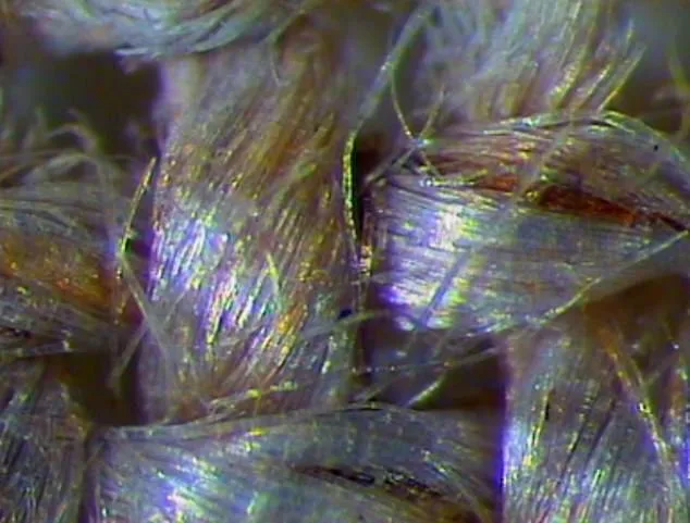 Shroud of Turin Mystery: Scientist Claims Breakthrough Using UV Lasers to Recreate Jesus' Image