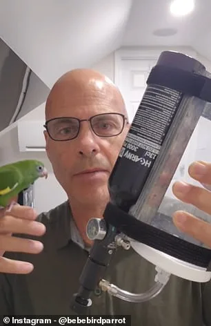 Bebe the Parakeet's Submarine Snorkel Sparks Viral Fame and Ethics Debate