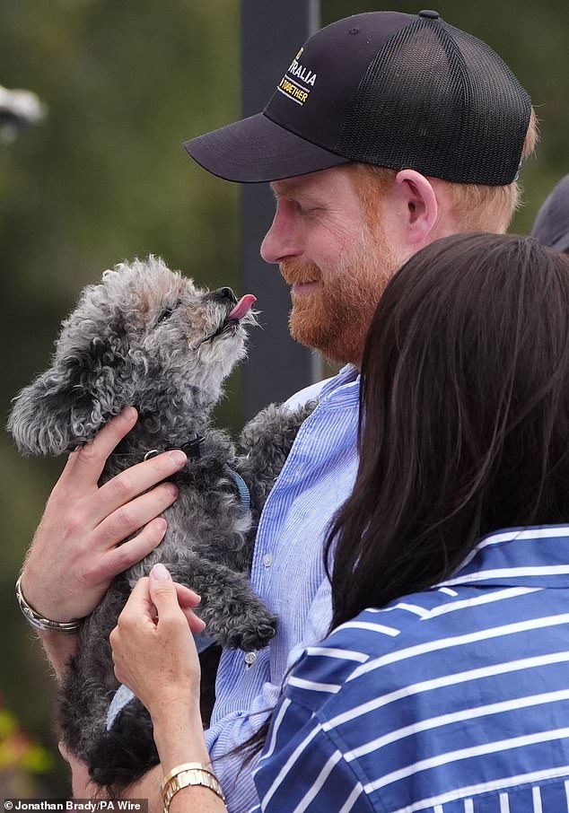 British Public Rejects Sussex Titles and Questions King Charles US Visit