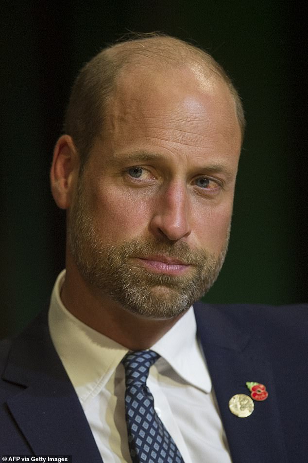 British Public Rejects Sussex Titles and Questions King Charles US Visit