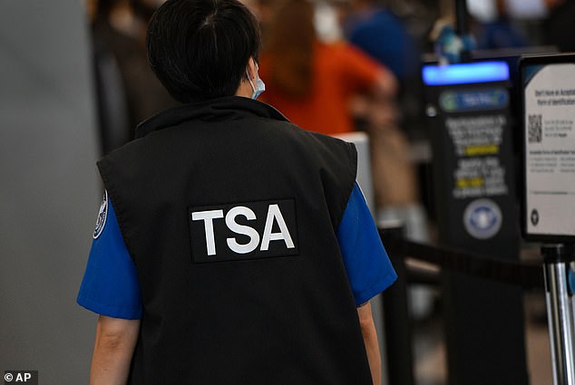 Australian faces eight years in prison over violent TSA assault at LAX