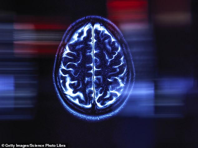 Australian startup creates biological computer brain to study neurological disorders.