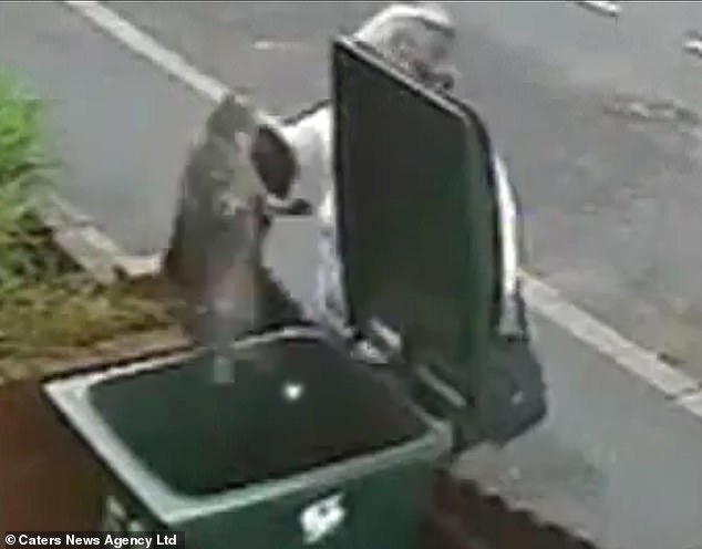 Bank worker Mary Bale haunted for decade after viral cat cruelty video.