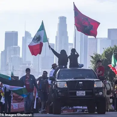 Border Czar's Intriguing Response to Leftist Group Targeting