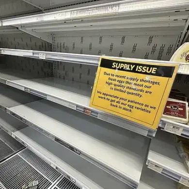 Egg Farmer Clarifies Misconception About Profits