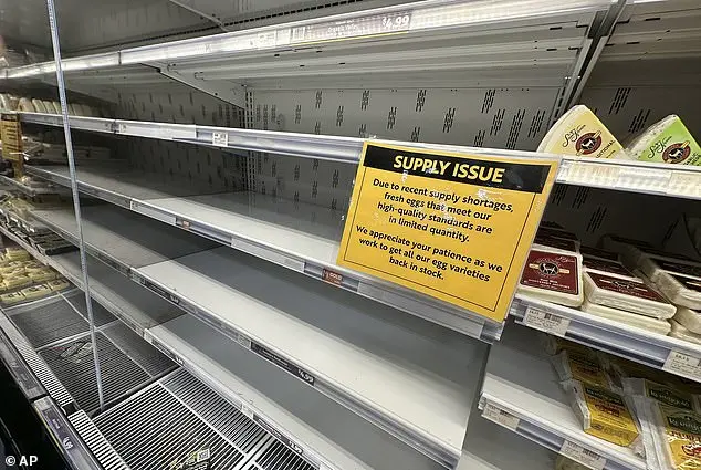 Egg Farmer Clarifies Misconception About Profits