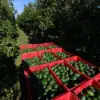 Mexico Retaliates in Trade War with US