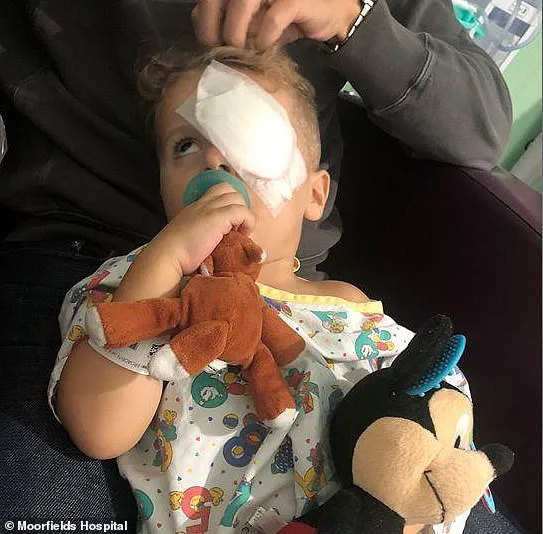 Pioneering Gene Therapy Brings Sight to a Blind Toddler