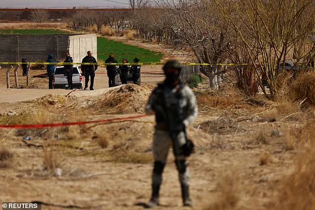 Trump Admin Takes on Drug Cartels: Waltz Vows to 'Take Them Down'