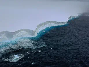 Giant Iceberg A23a Runs Aground Near South Georgia After Decades Adrift