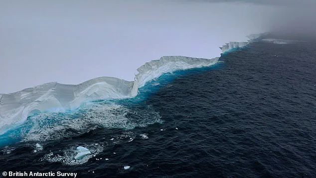 Giant Iceberg A23a Runs Aground Near South Georgia After Decades Adrift
