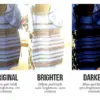 The Dress that Ignited an Internet Color Debate