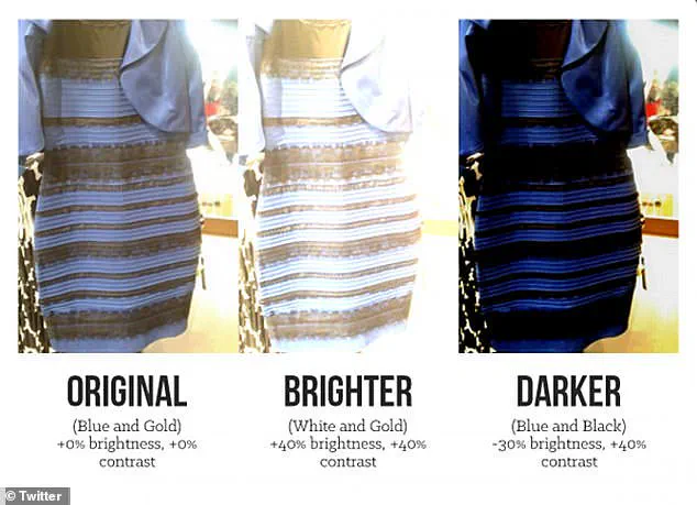 The Dress that Ignited an Internet Color Debate