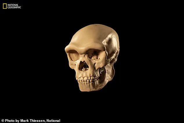 Unveiling the Face of a Long-Lost Human Ancestor: Dragon Man