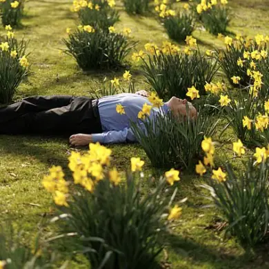 England Experiences Record Sunniest March with 59% Above Average Sunshine