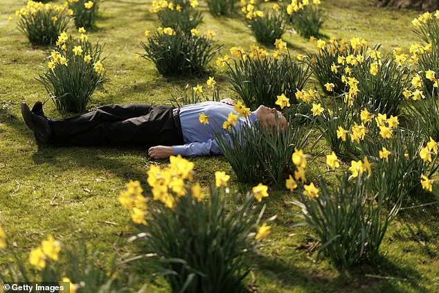 England Experiences Record Sunniest March with 59% Above Average Sunshine