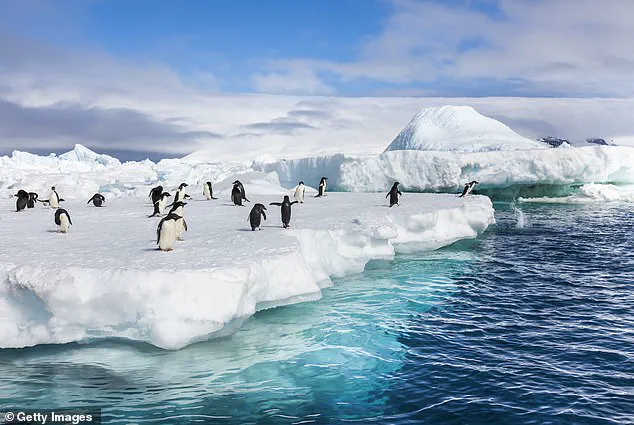 Antarctic Ice Gain Sparks Debate on Climate Change Impacts