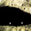 Archaeological Discovery in Guatemala's 'Blood Cave' Reveals Insights into Ancient Maya Ritual Practices