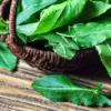 British Diet to Undergo Significant Shift Toward Plant-Based Alternatives Amid Climate Concerns