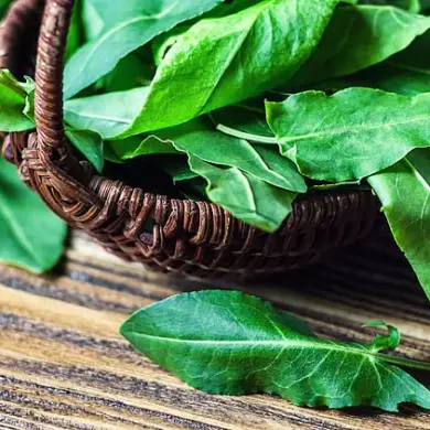 British Diet to Undergo Significant Shift Toward Plant-Based Alternatives Amid Climate Concerns