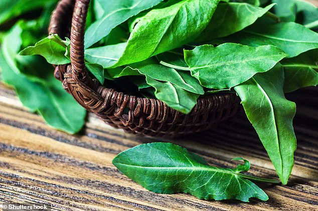 British Diet to Undergo Significant Shift Toward Plant-Based Alternatives Amid Climate Concerns