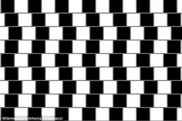 Dr. Dean Jackson's Bizarre TikTok Illusion Tricks Brain into Seeing Fire Truck as Red