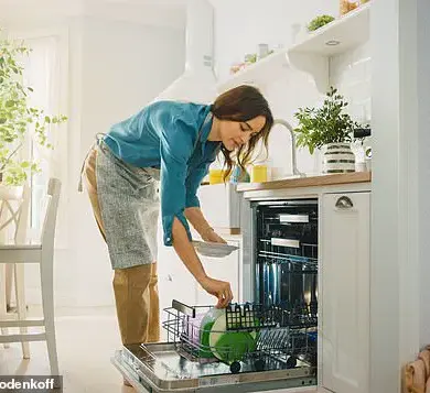 Hidden Danger in Your Kitchen: New Research Links Appliances to Cancer, Dementia, and 48 Million Annual Foodborne Illnesses