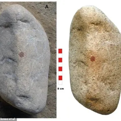 Neanderthal Artistic Mastery Unearthed: 43,000-Year-Old Pebble May Hold Earliest Known Face Carving