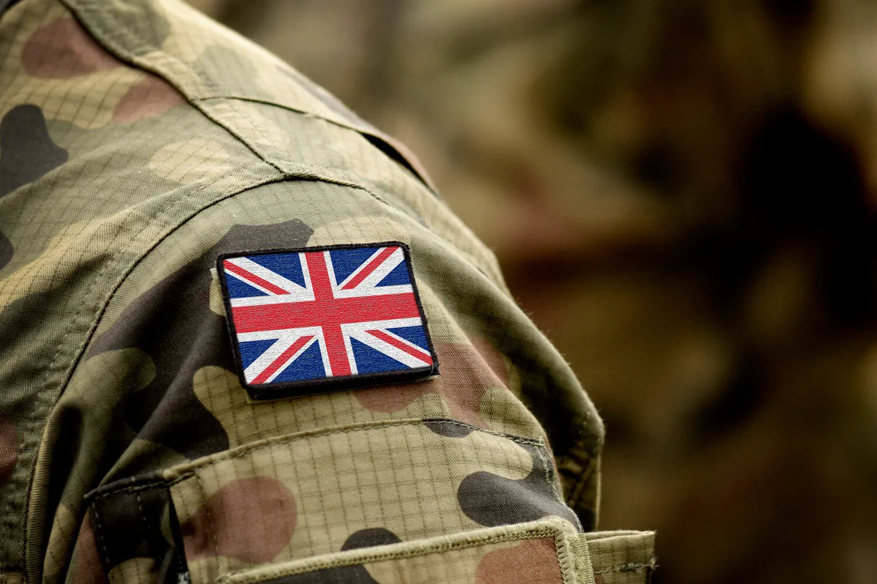 UK Considers Arctic Military Presence Amid Russia's Expansion, Citing NATO's Estonia Model in Security Review