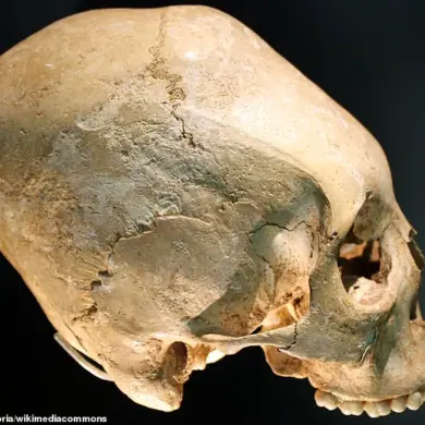 Unearthed Skull in Argentina Sparks Scientific Controversy Over Its Origins