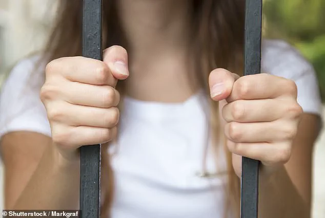 Unwitting Pawn in Cybercrime: How Limited Access to Hidden Scam Led to 29 Years in Prison and Fines