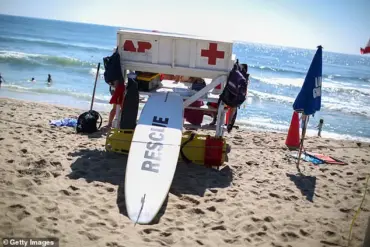 A Lifeguard's Tragedy: The Umbrella That Changed Everything