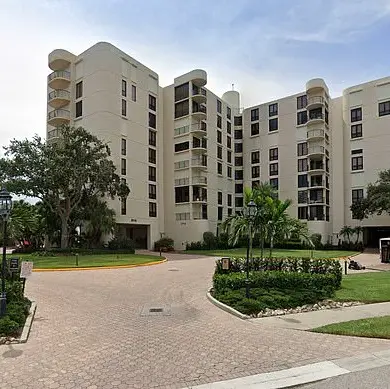 Black Bear Discovered in Florida Condominium Under Development; Authorities and Wildlife Experts Respond
