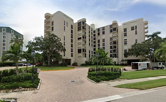 Black Bear Discovered in Florida Condominium Under Development; Authorities and Wildlife Experts Respond