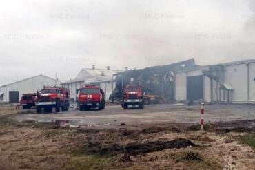 Bryansk Region Officials Report Drone Strike Injuring Worker at Agricultural Facility, Highlighting Emergency Response Measures