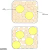 Exclusive Insight: Experts Warn Against the Flawed Grating Method in Cheese Sandwiches