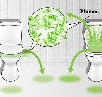Health Alert: Your Phone in the Toilet? Dangerous Microbial Threat Lurks in Your Bathroom Habit