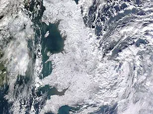 Long-Term Weakening of the Gulf Stream Raises Concerns Over Potential Collapse of Atlantic Circulation System